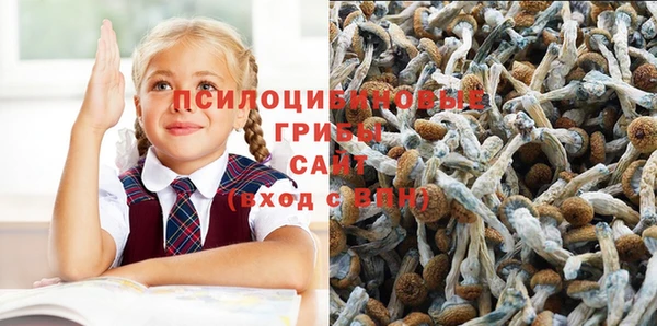 кокаин VHQ Бородино