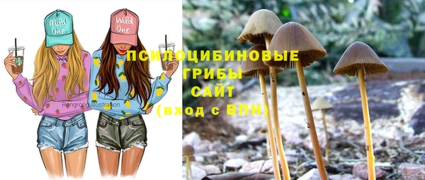 эйфоретик Богородицк
