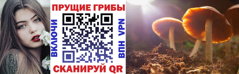 сколько стоит  Новороссийск  Галлюциногенные грибы ЛСД 